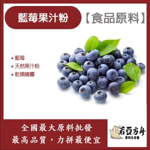 若亞方舟 藍莓果汁粉 食品原料 天然果汁粉 乾燥噴霧 果汁粉 藍莓 食品級