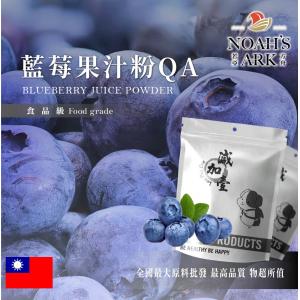 若亞方舟 藍莓果汁粉QA 台灣 食品級 食品原料 藍莓 乾燥噴霧 果汁粉