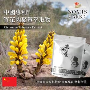 若亞方舟 中國專利®管花肉蓯蓉萃取物 苯乙醇苷40% 松果菊苷10% 毛蕊花糖苷4% 保健原料 食品原料 沙漠人參