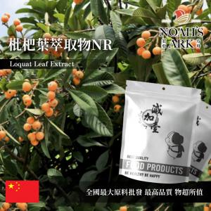 若亞方舟 枇杷葉萃取物NR 中國 10：1 保健原料 食品原料 粉末