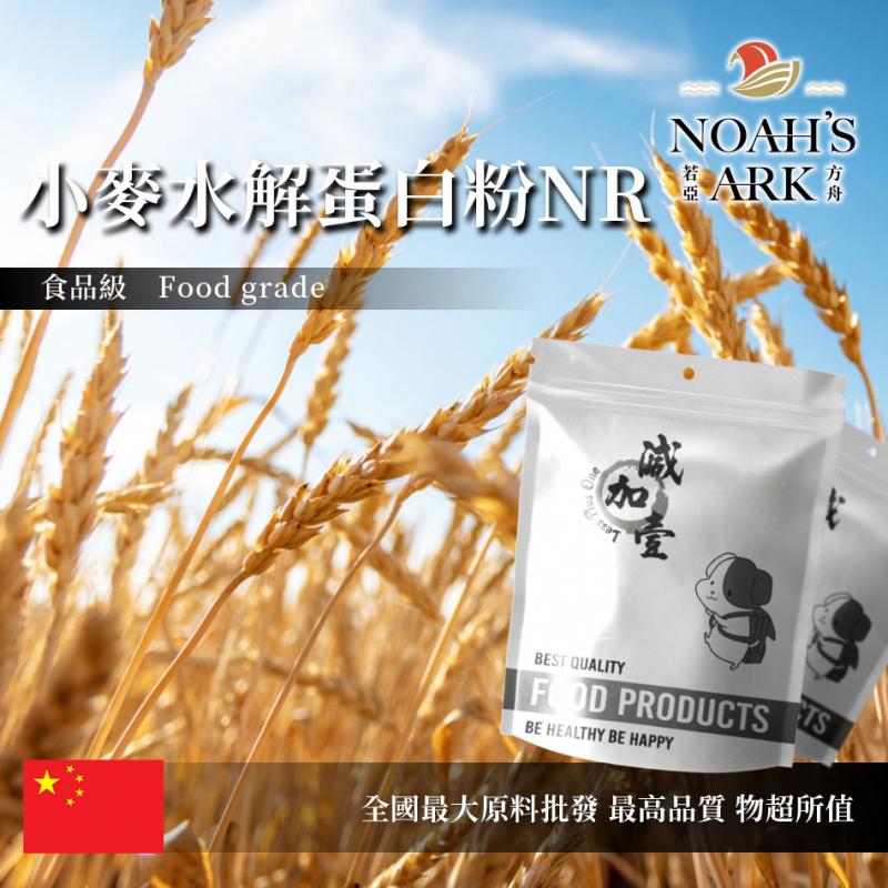 若亞方舟 小麥水解蛋白粉NR 台灣 保健原料 食品原料 水解 小麥蛋白 小麥 蛋白 食品級